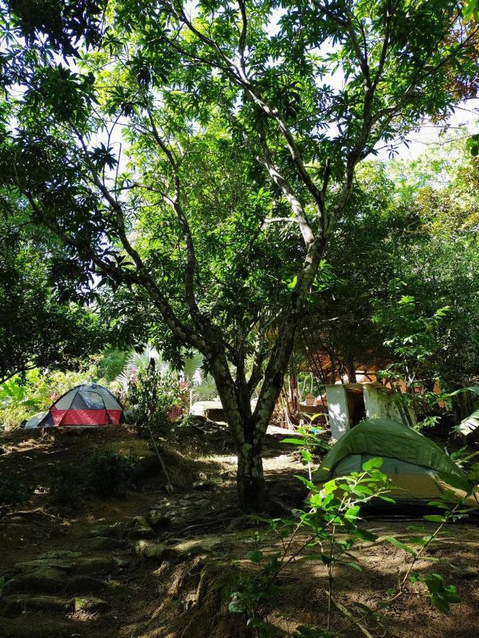 Hostal Dos Quebradas 산타마르타 외부 사진