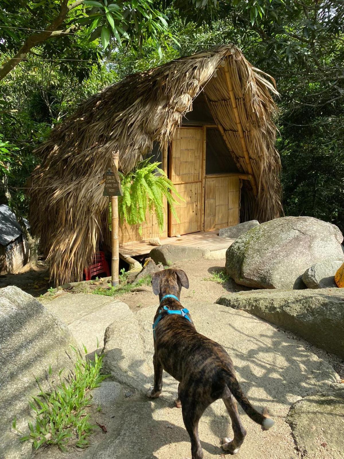 Hostal Dos Quebradas 산타마르타 외부 사진
